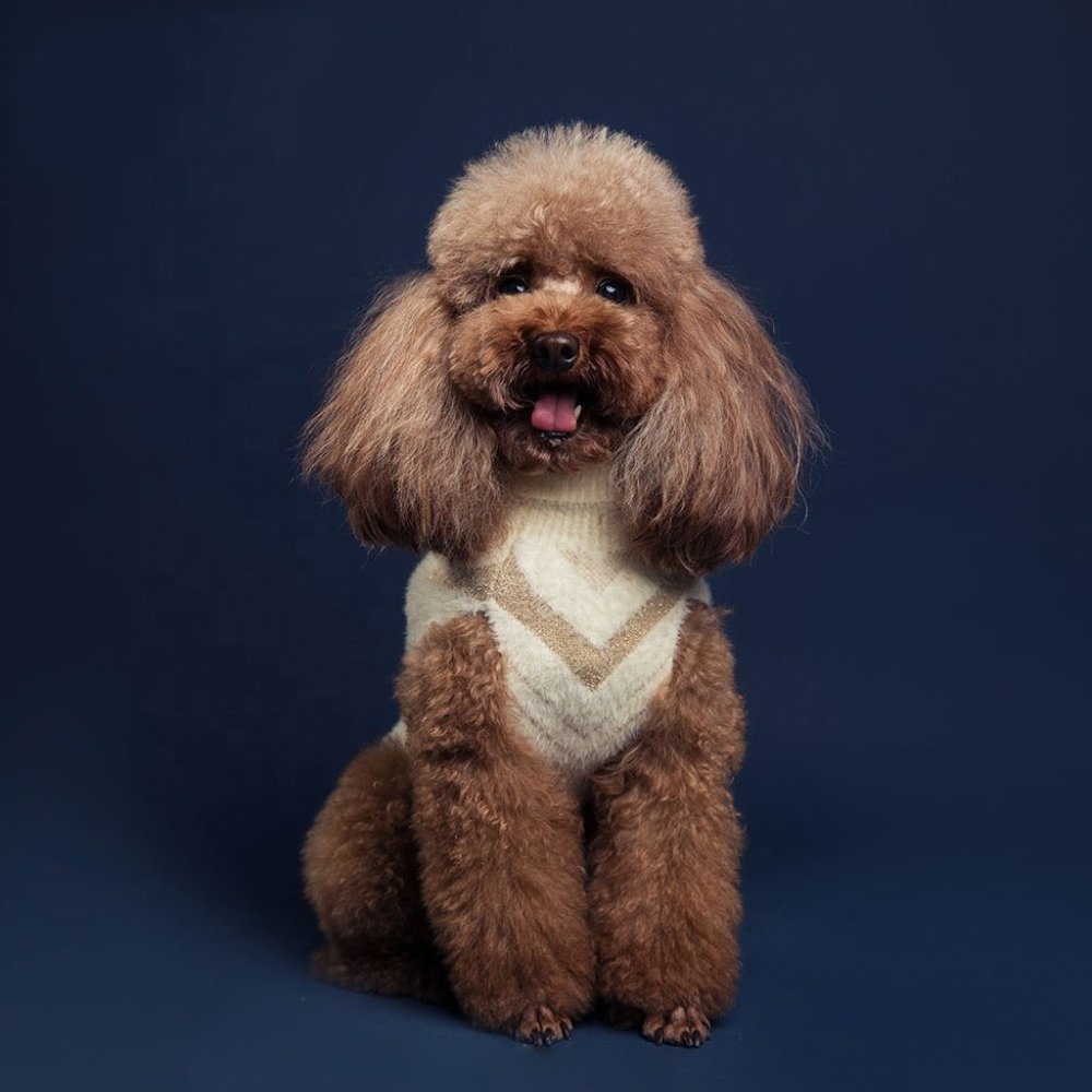 Fashion Dog Pullover Beige for Small Dogs / Spring Sweater for Dog / Dog Sweater